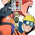 naruto shippuden livre