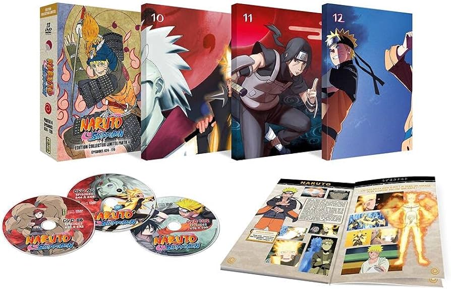 naruto dvd intégrale